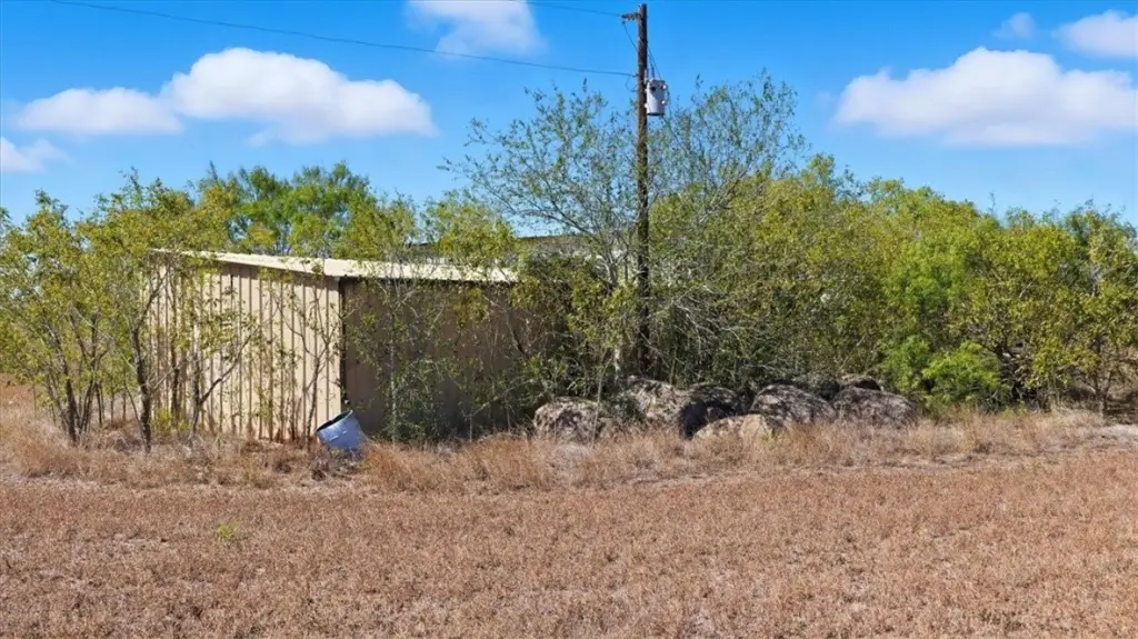 Picture 6