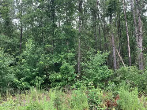 Middleburg, FL Acreage Home Site