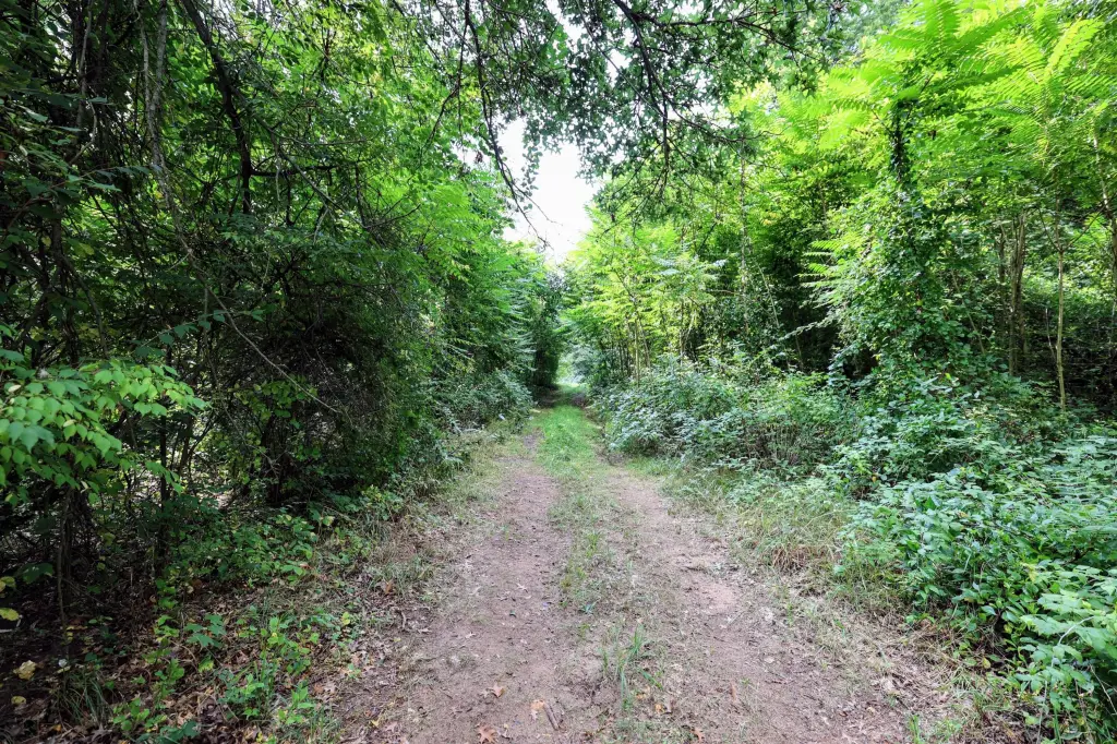 Picture 27