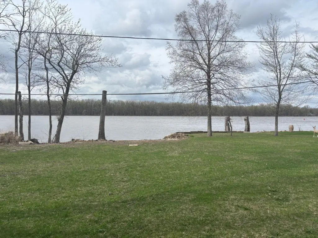 Picture 12