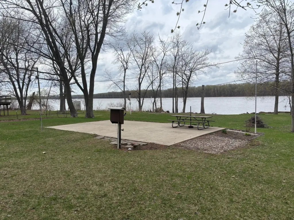 Picture 3