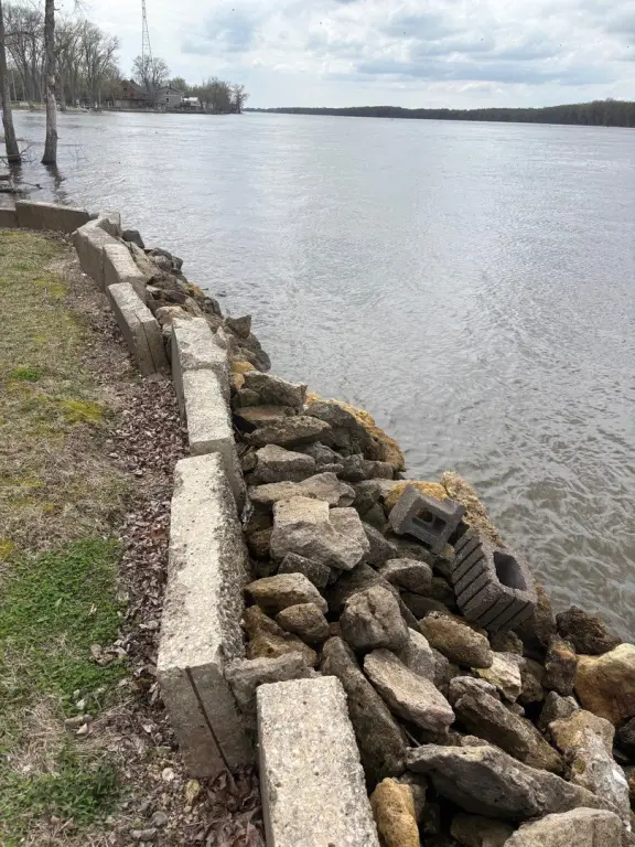 Picture 5