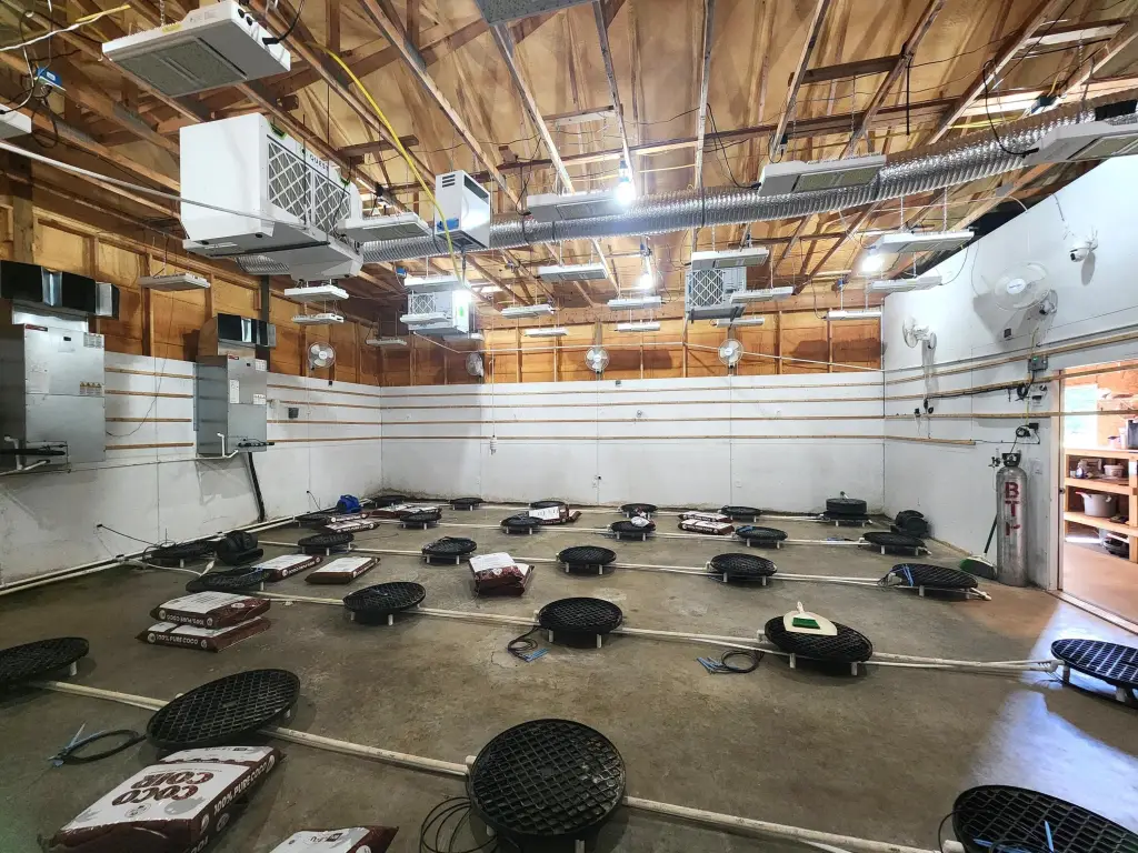 Picture 7