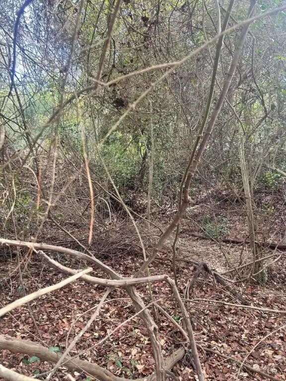 Picture 4
