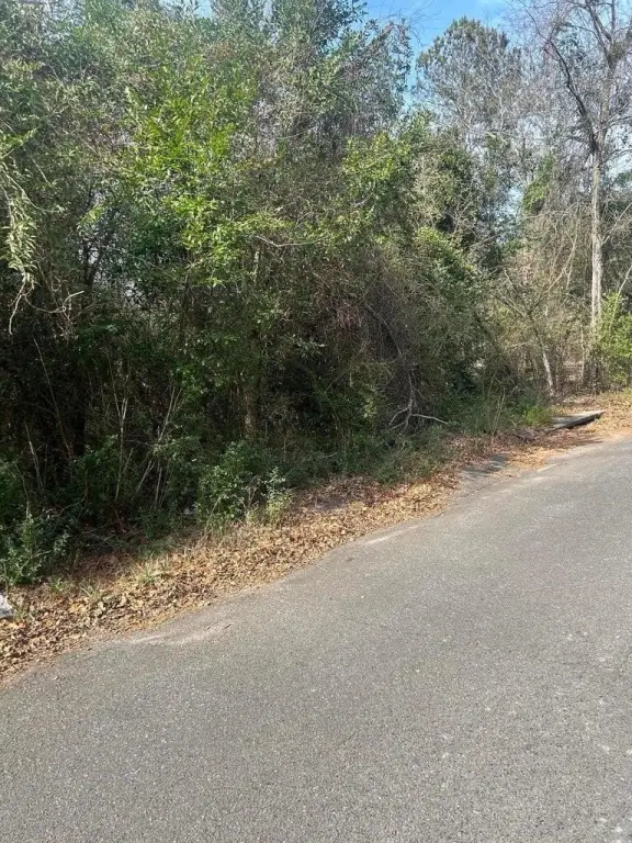 Picture 3