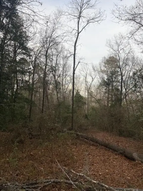 Picture 3