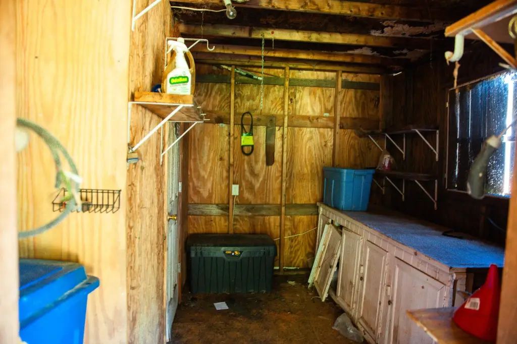 Picture 32
