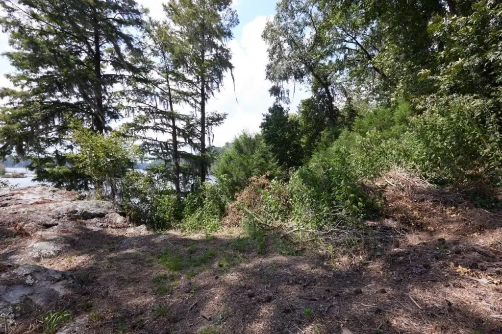 Picture 8