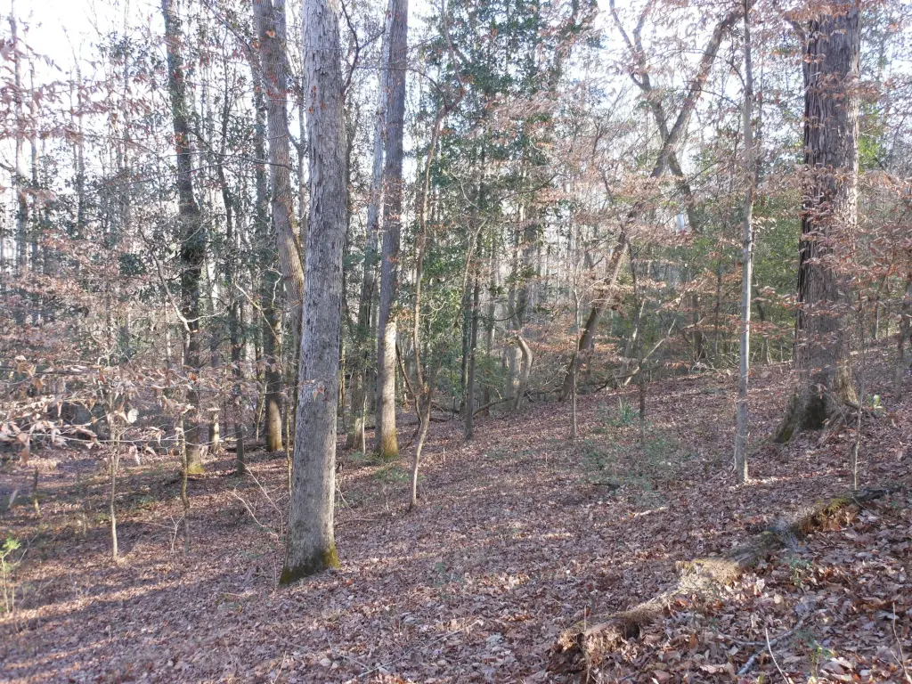 Picture 27