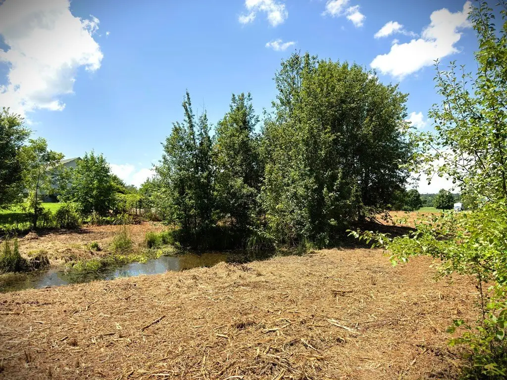 Picture 18