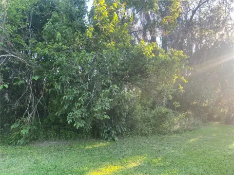 Vacant Land in Williston, FL