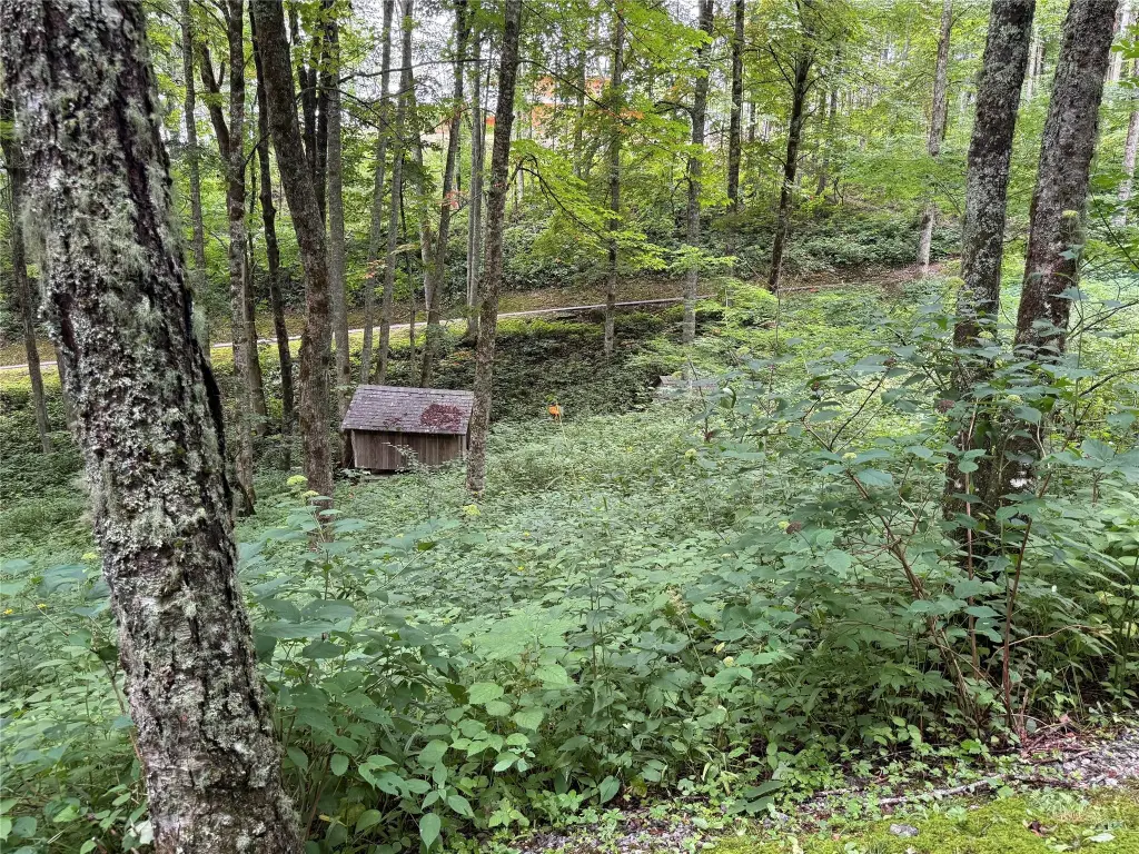 Picture 19