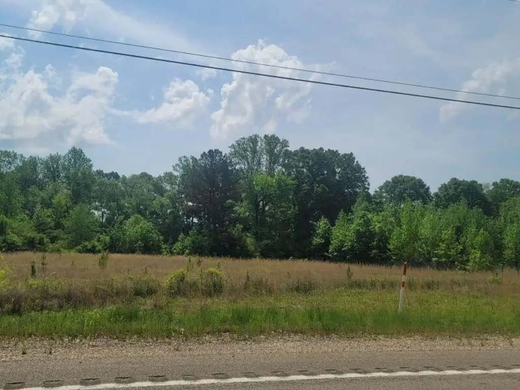 Picture 4