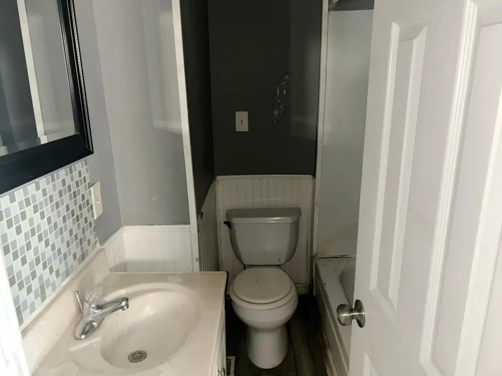 Picture 8