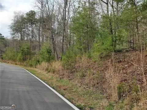 Residential Land in Jasper, GA