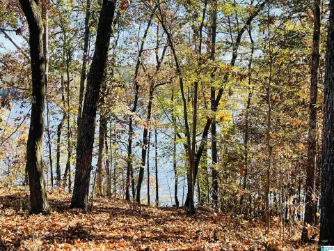 Waterfront Lots on Logan Martin