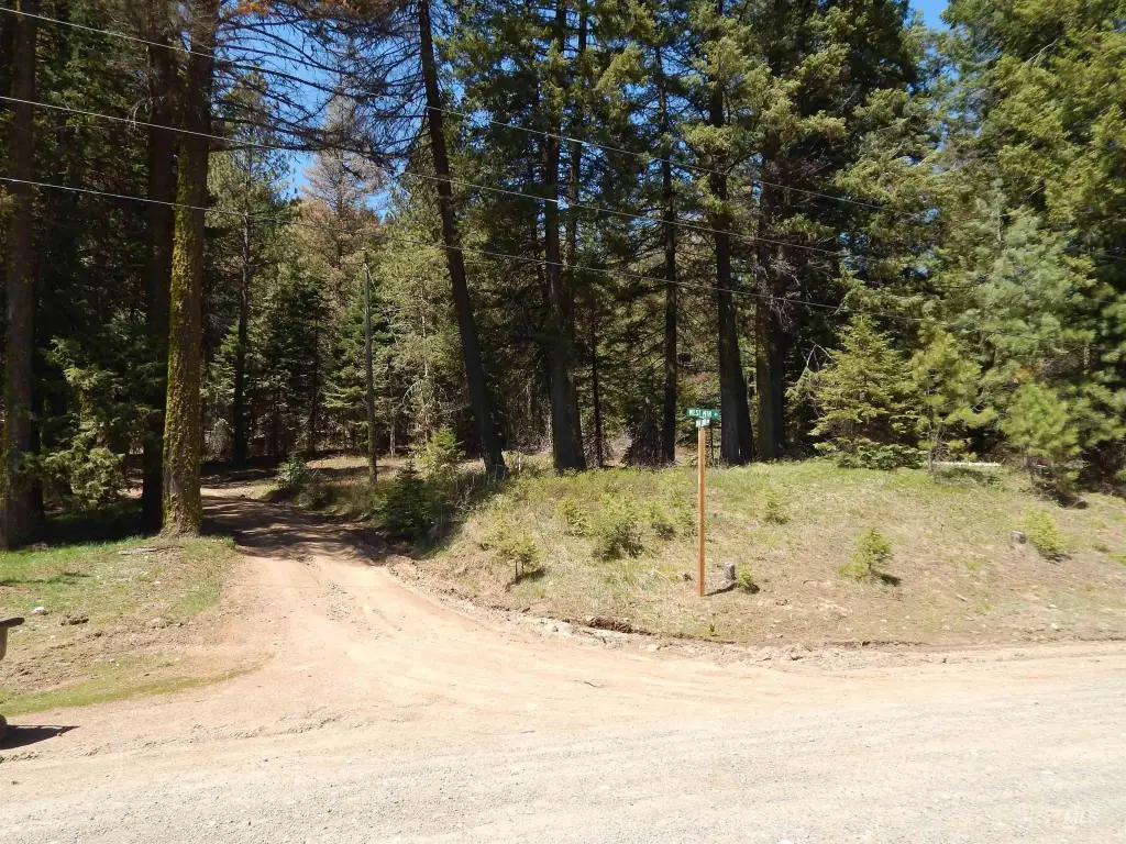 Picture 6