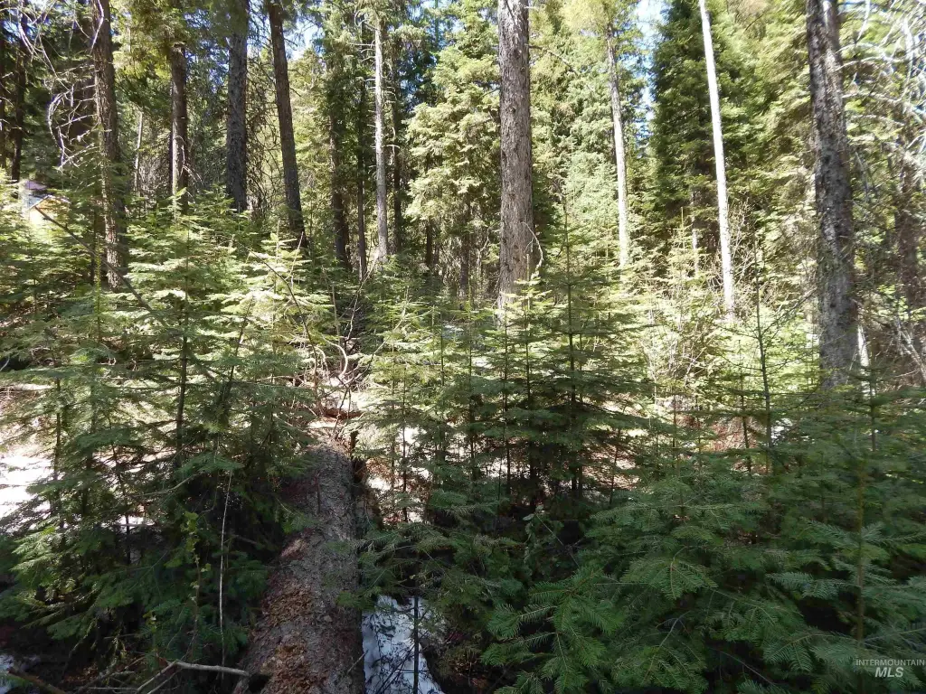 Picture 16