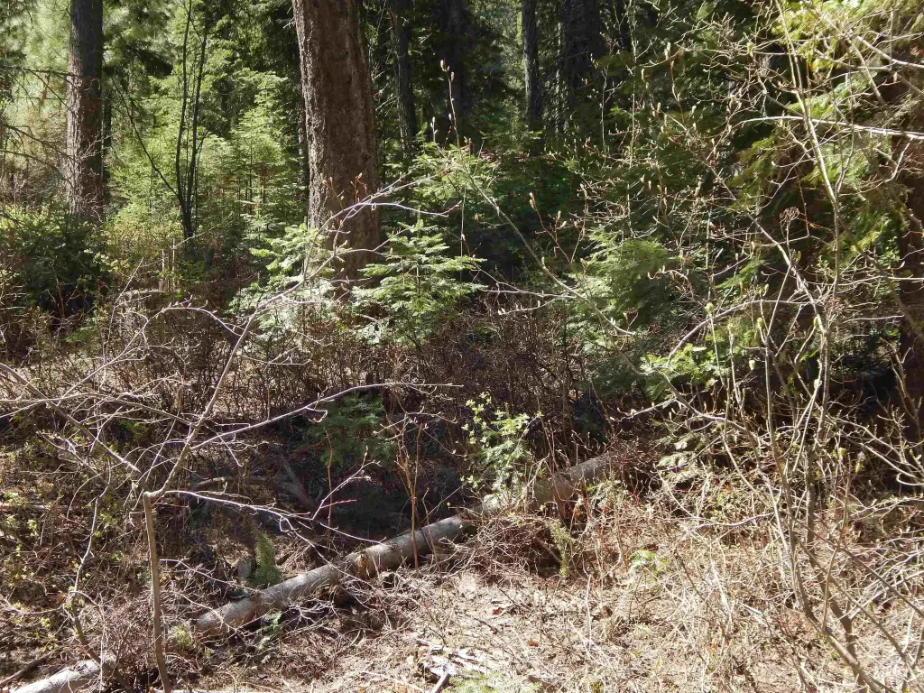 Picture 8