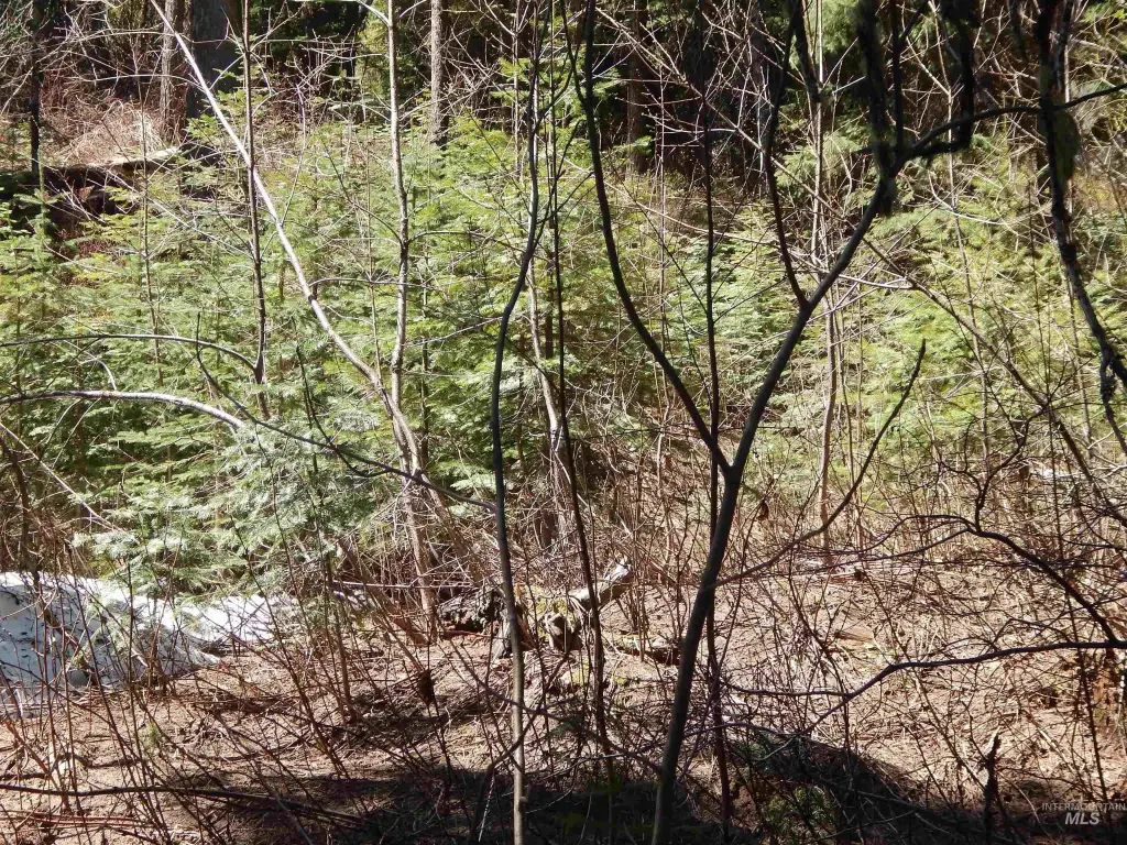 Picture 10