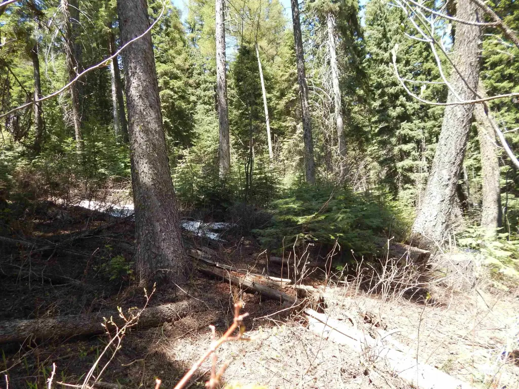 Picture 14
