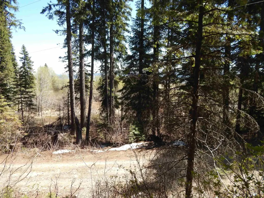 Picture 2