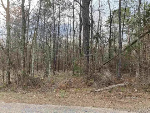 Adamsville Land with Road Frontage