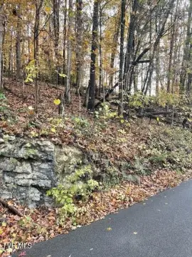 Unrestricted Land in Church Hill