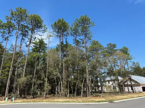 Residential Land in Deer Moss Creek