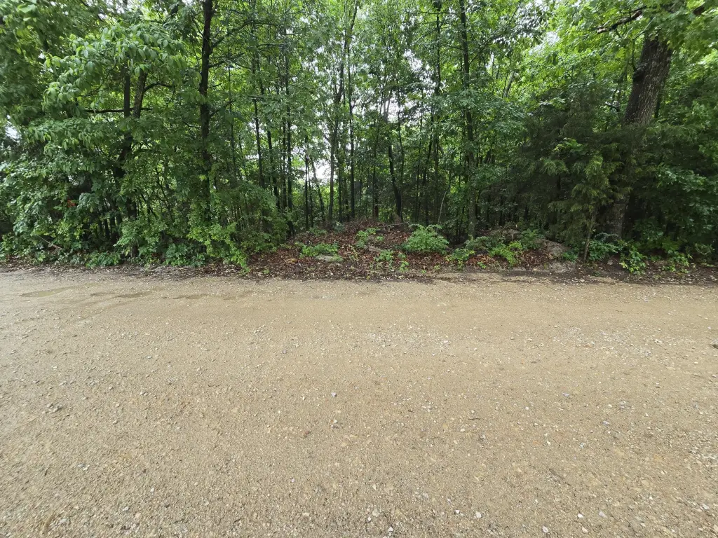 Picture 10
