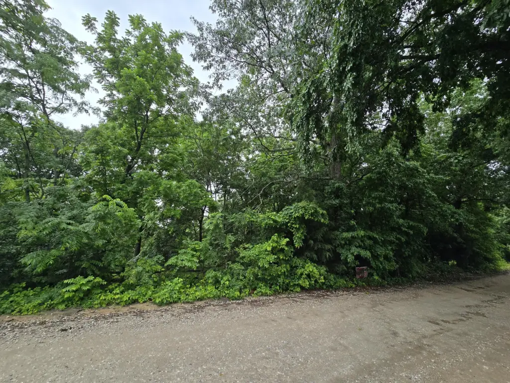 Picture 6