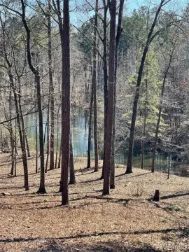 Tuscaloosa Waterfront Land For Sale