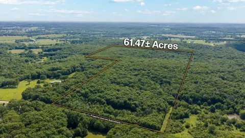 Recreational Hunting Land