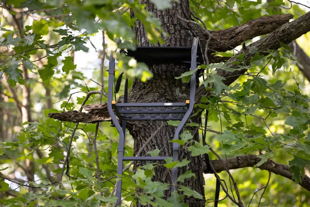 Picture 51