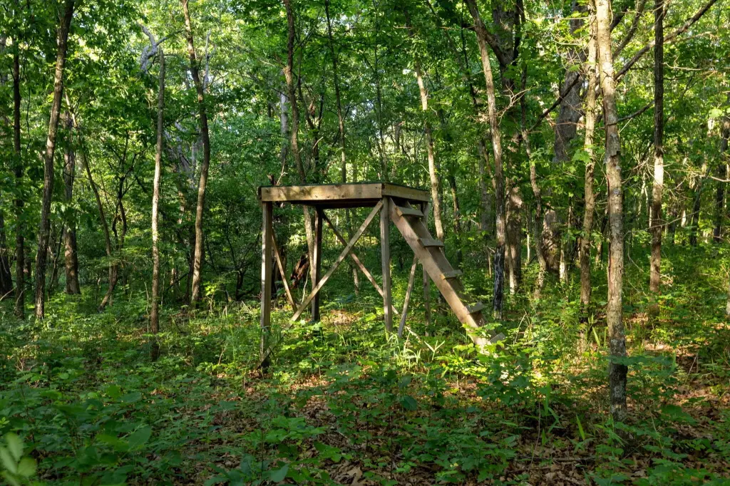 Picture 47