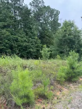 Land in Rural Tuscaloosa County