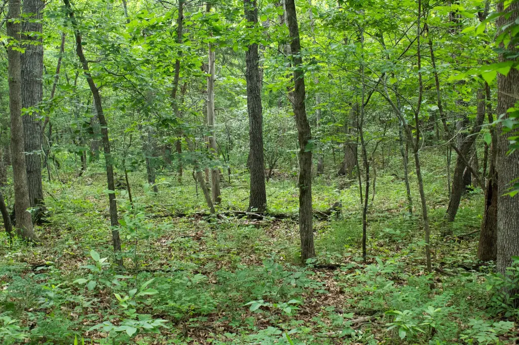 Picture 13
