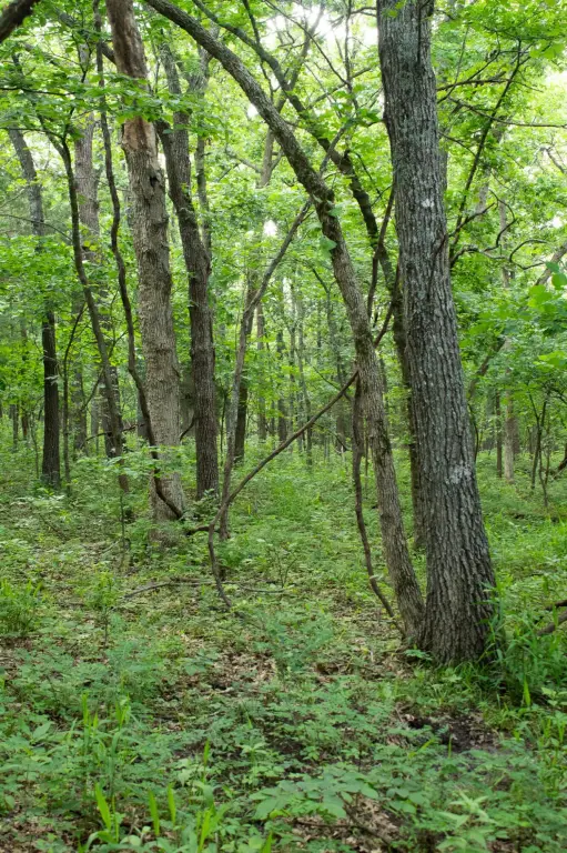 Picture 22
