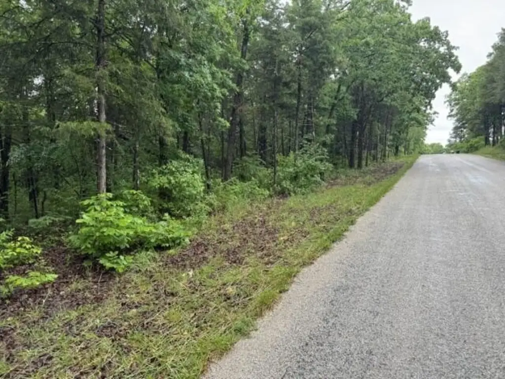 Picture 21