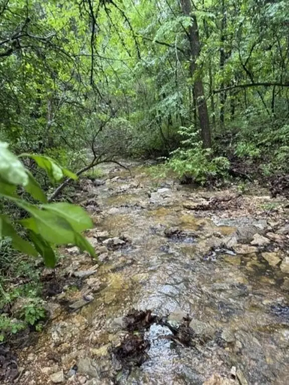 Picture 10
