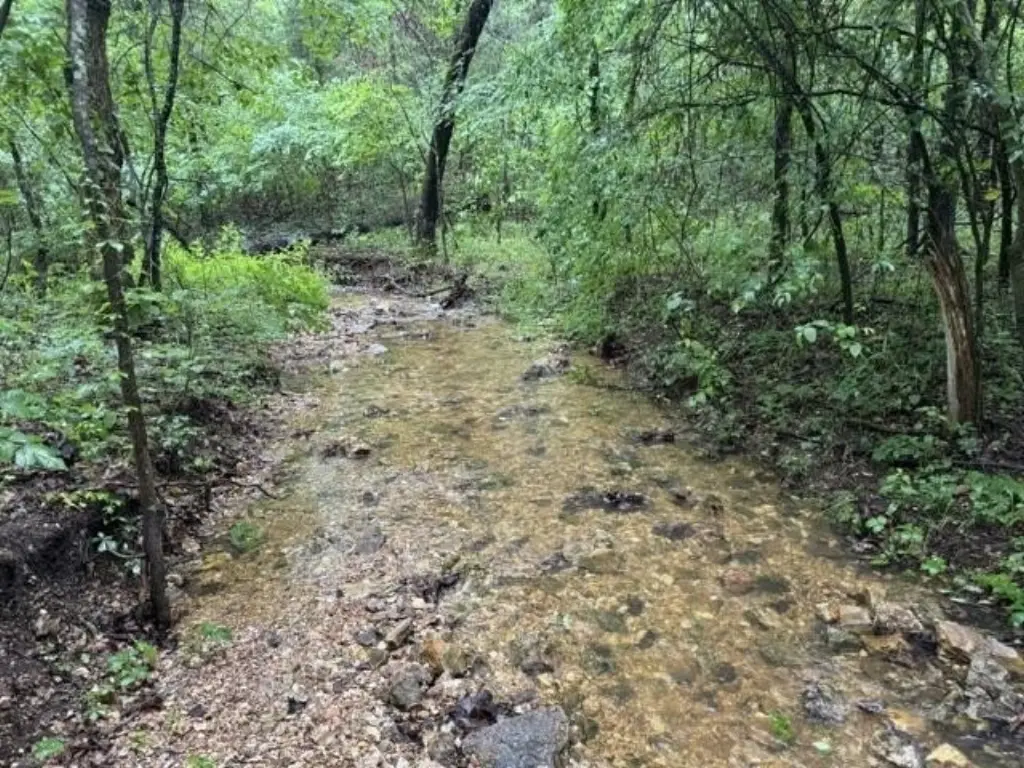Picture 4