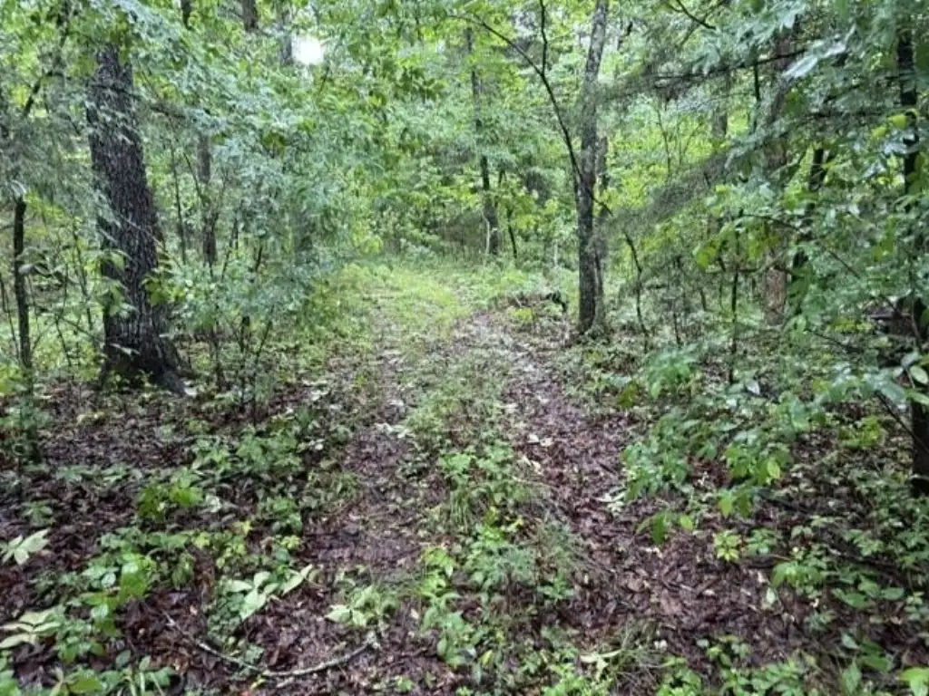 Picture 16