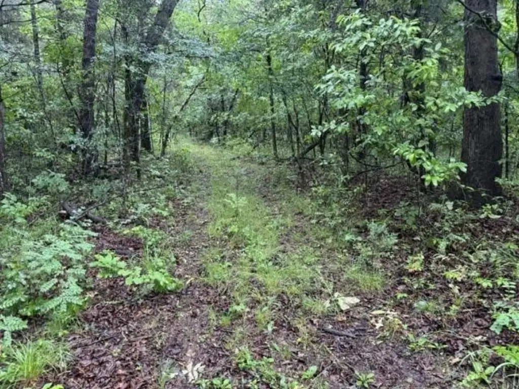 Picture 18