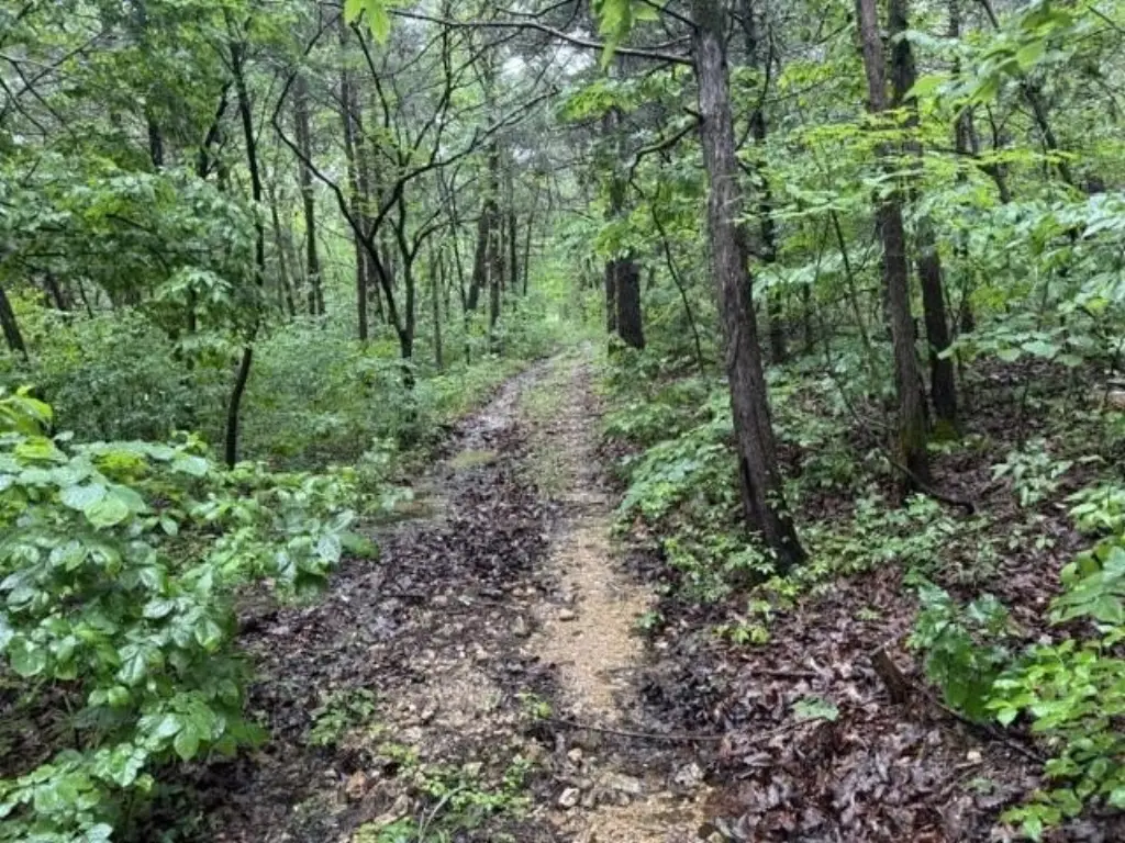 Picture 12