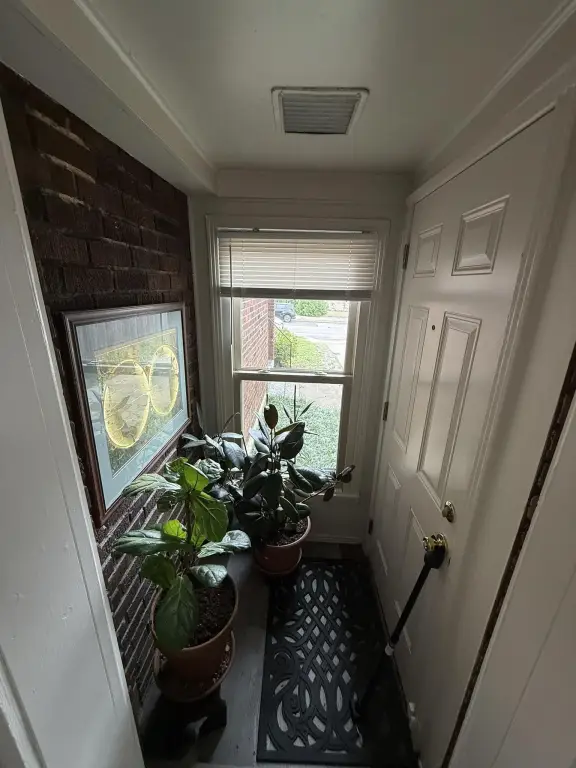 Picture 10