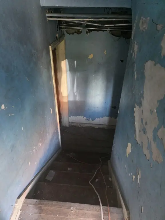 Picture 27