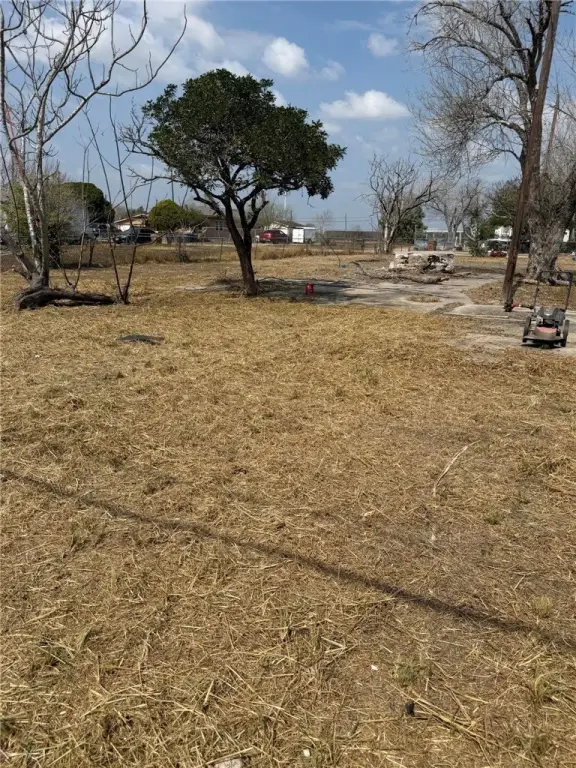 Picture 5