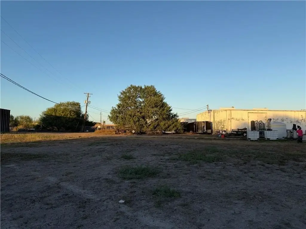 Picture 13