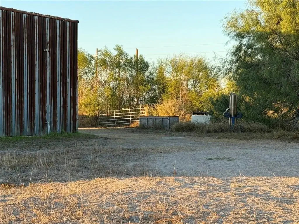 Picture 10