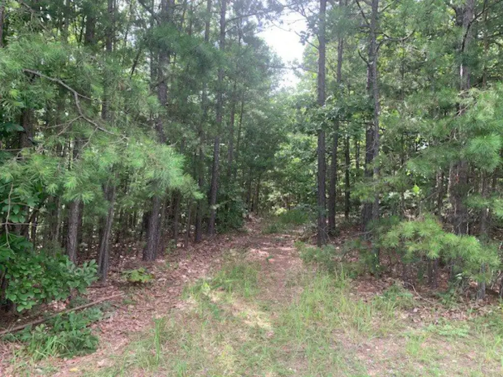 Picture 17